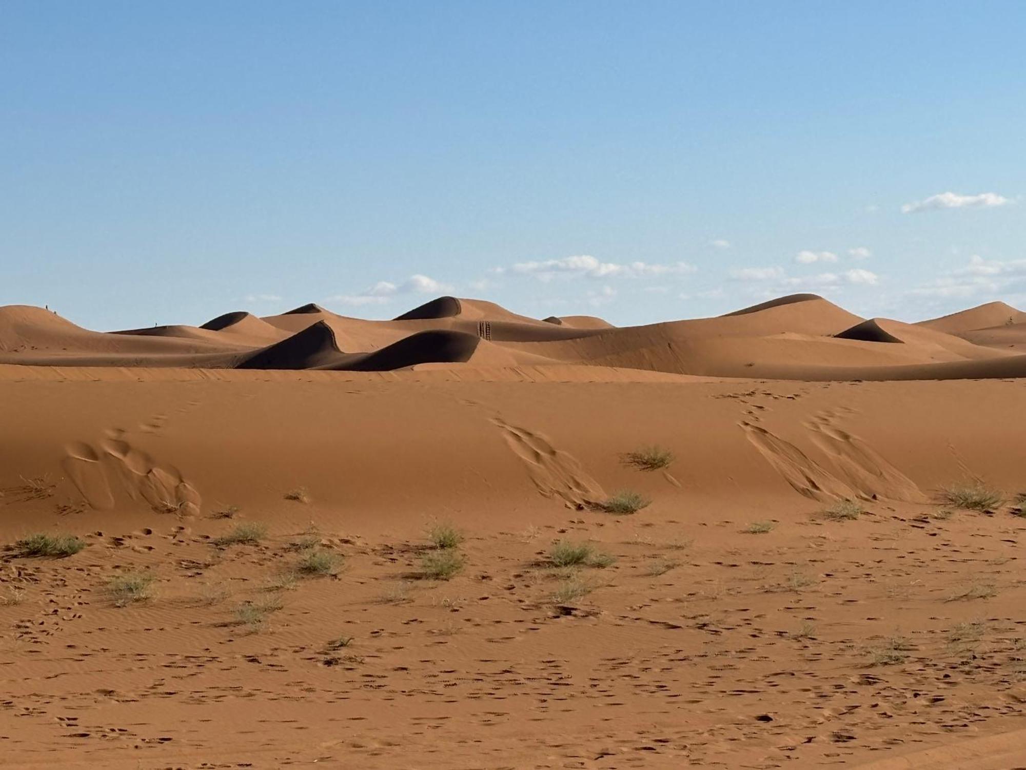 Bivouac La Dune Blanche M'Hamid Bagian luar foto