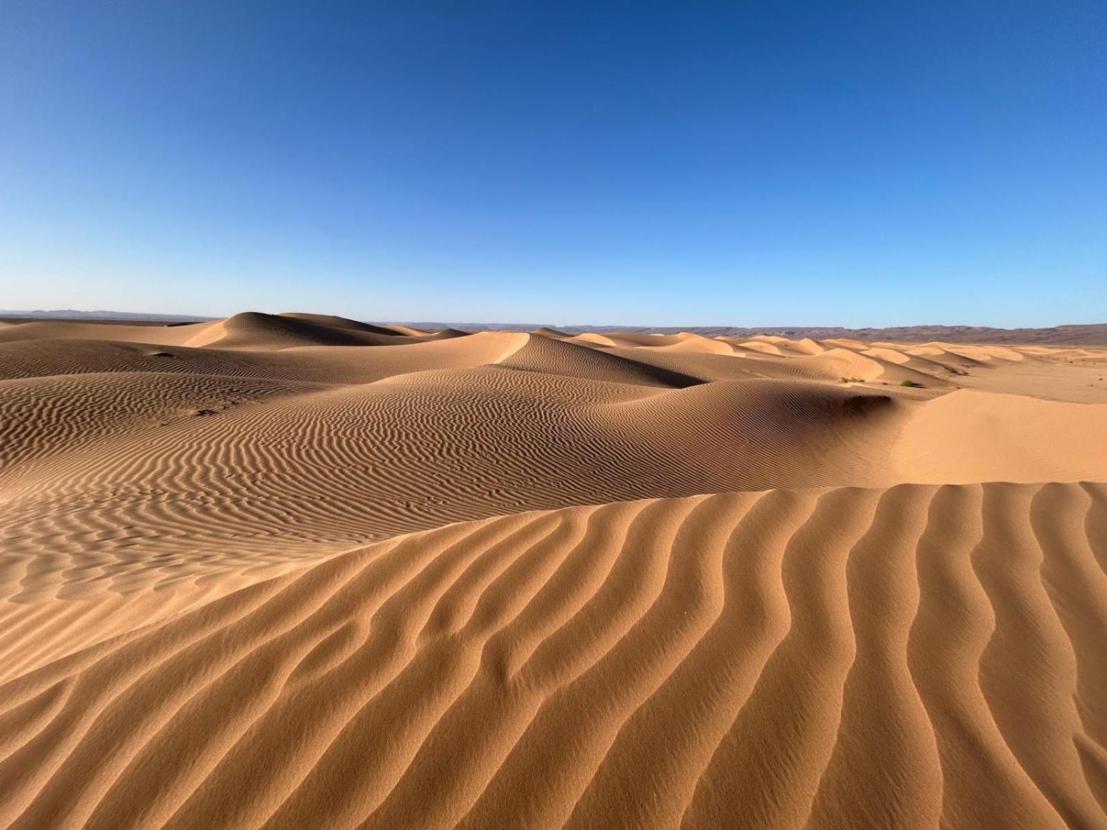 Bivouac La Dune Blanche M'Hamid Bagian luar foto