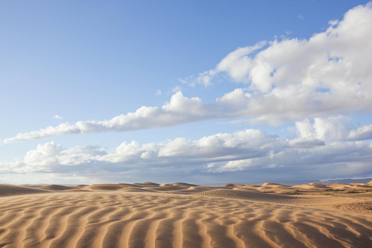 Bivouac La Dune Blanche M'Hamid Bagian luar foto